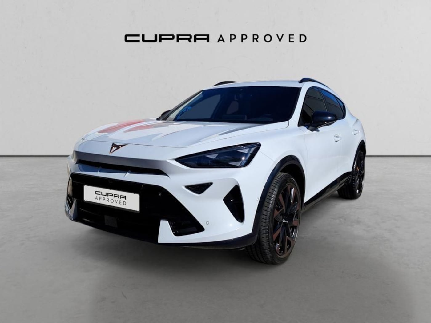 CUPRA Formentor 1.5 eTSI DSG 110 kW (150 CV) — photo 13