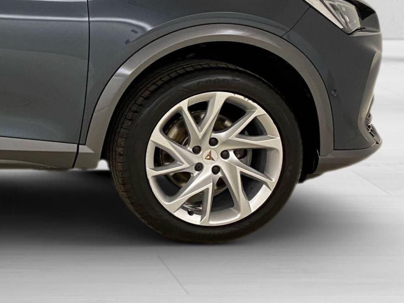 CUPRA Formentor 2.0 TDI 110 kW (150 CV) — photo 8
