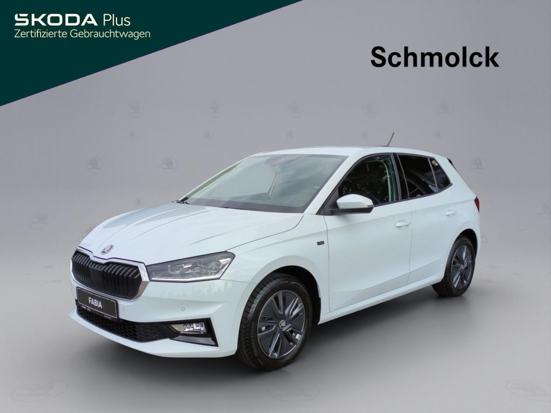 Skoda Fabia Tour