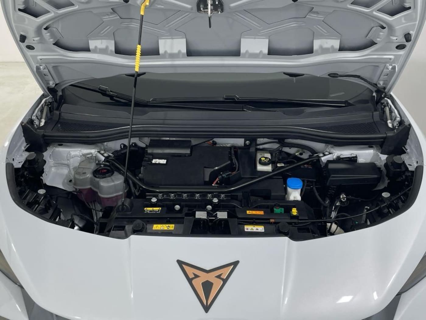 CUPRA Tavascan 77kWh Endurance 210 kW (286 CV) — photo 13