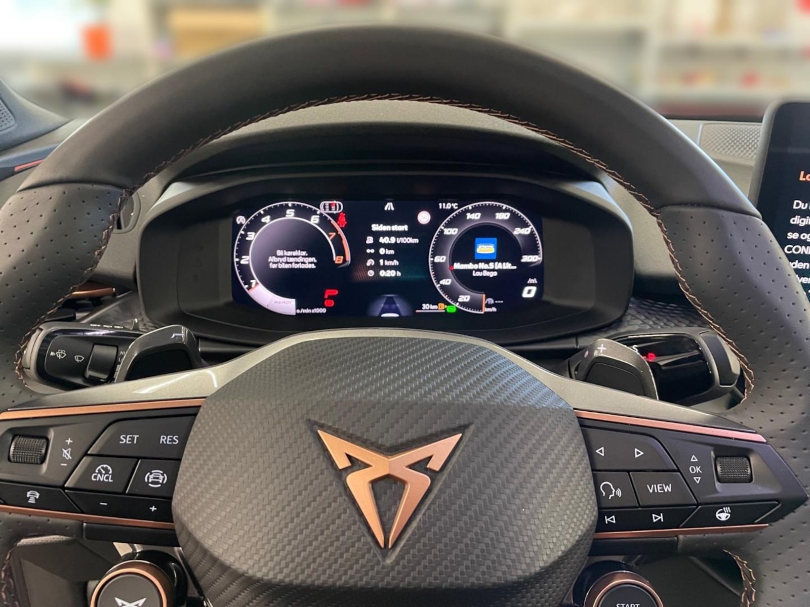 CUPRA Terramar – Bild 10
