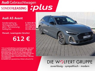 erstes Vorschaubild