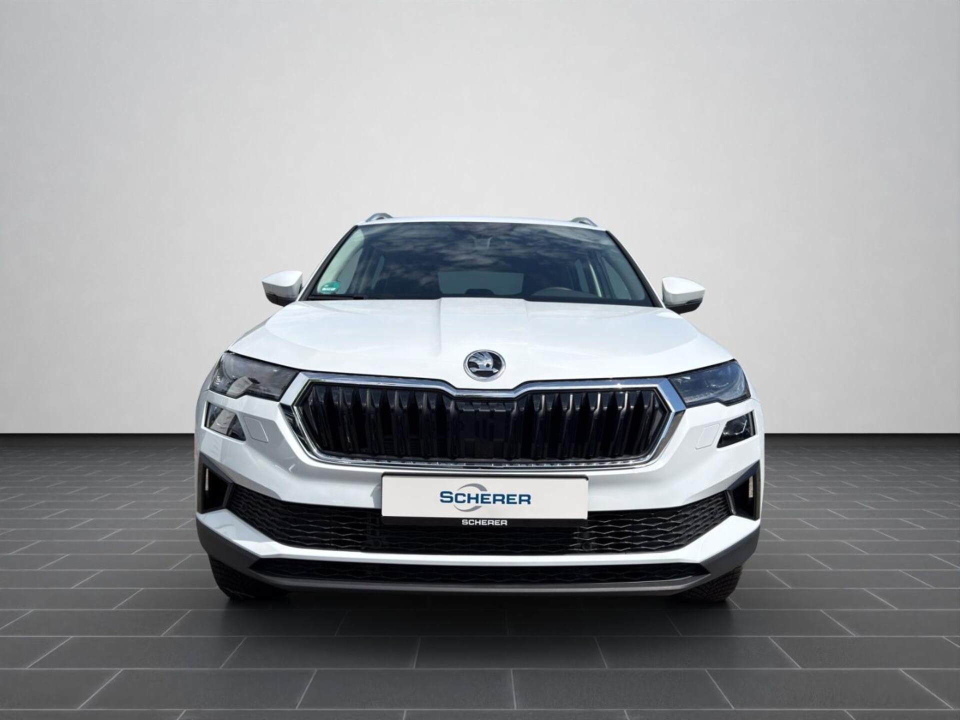 Skoda Karoq Selection