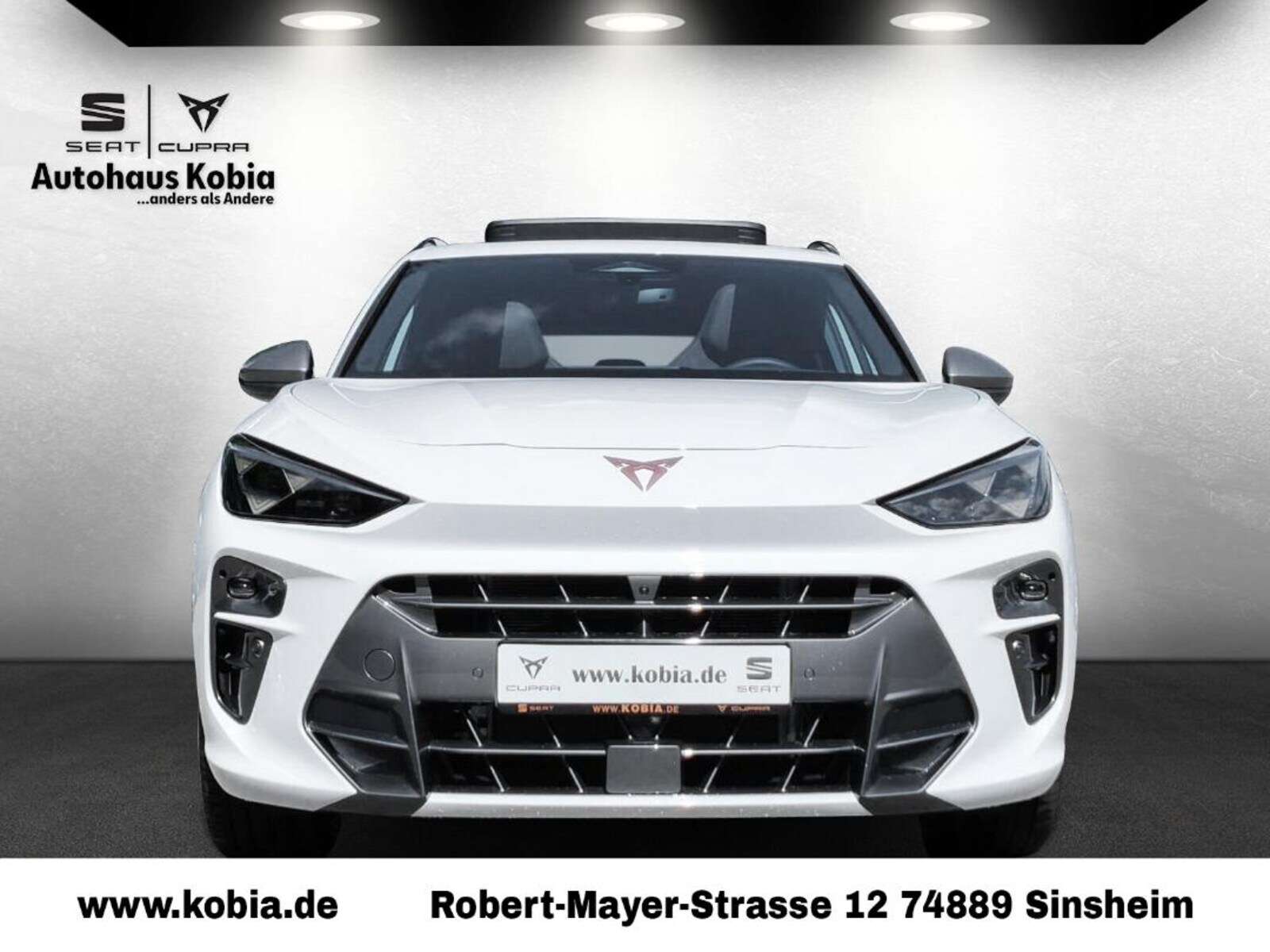 CUPRA Terramar – Bild 5