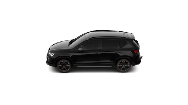 Bild des Autos 6