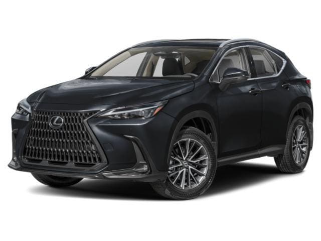 2025 Lexus NX 350 350 AWD's photo