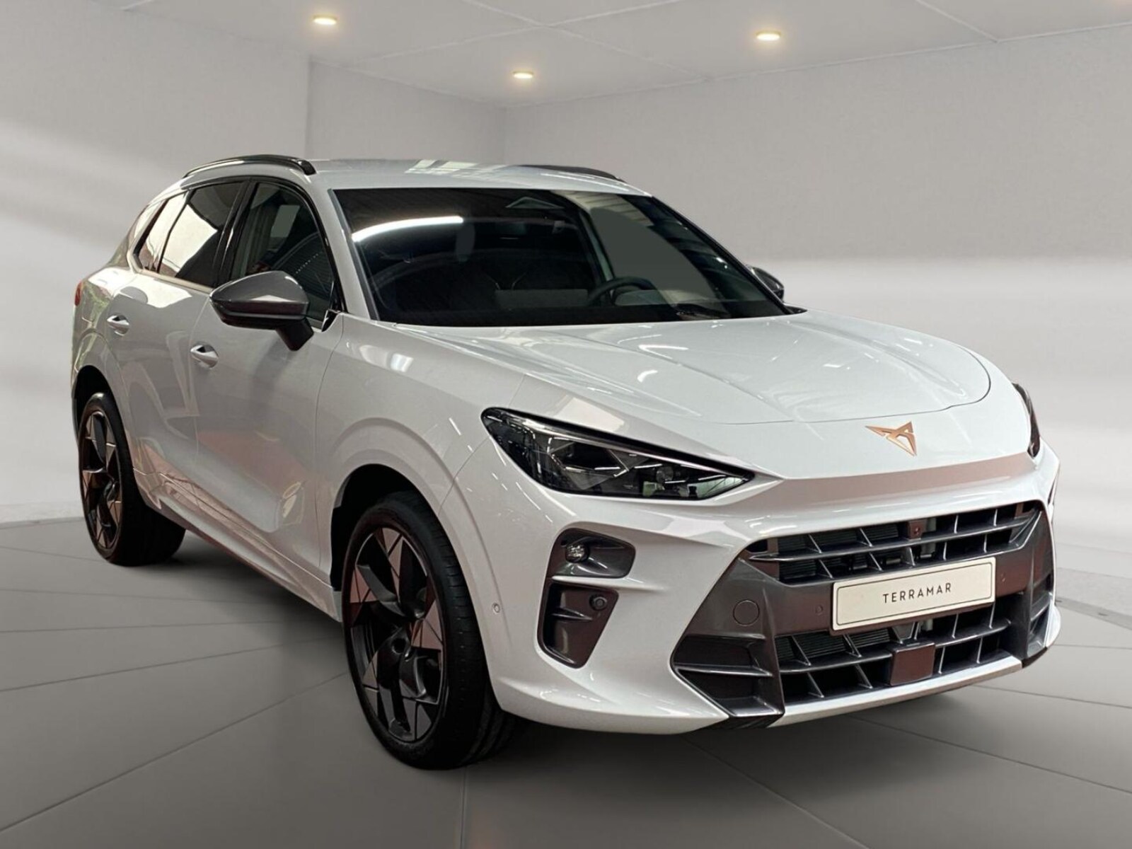 CUPRA Terramar – Bild 6