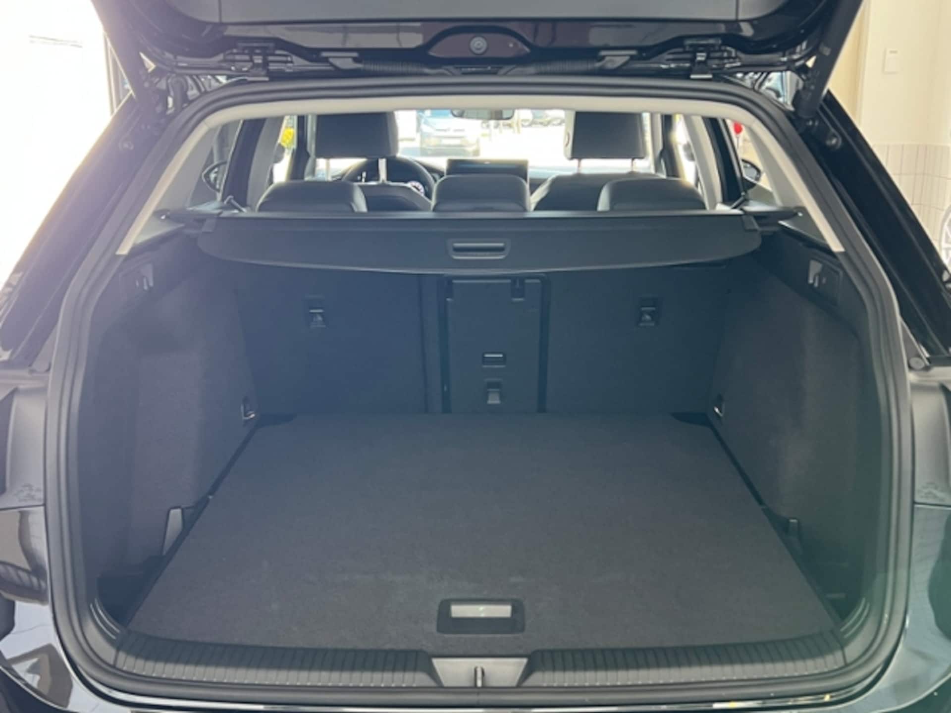 Volkswagen Golf Variant Goal