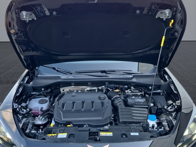 Bild des Autos 22