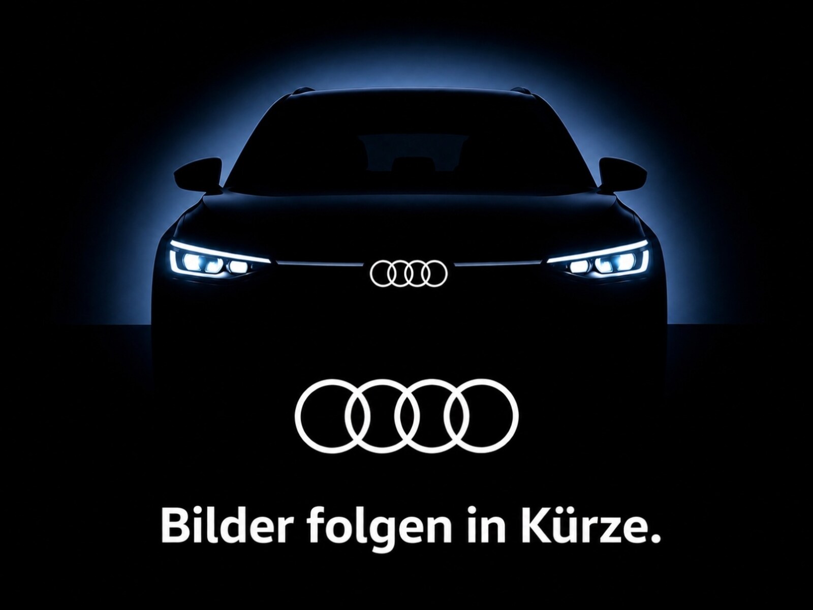 Audi RS Q8 performance