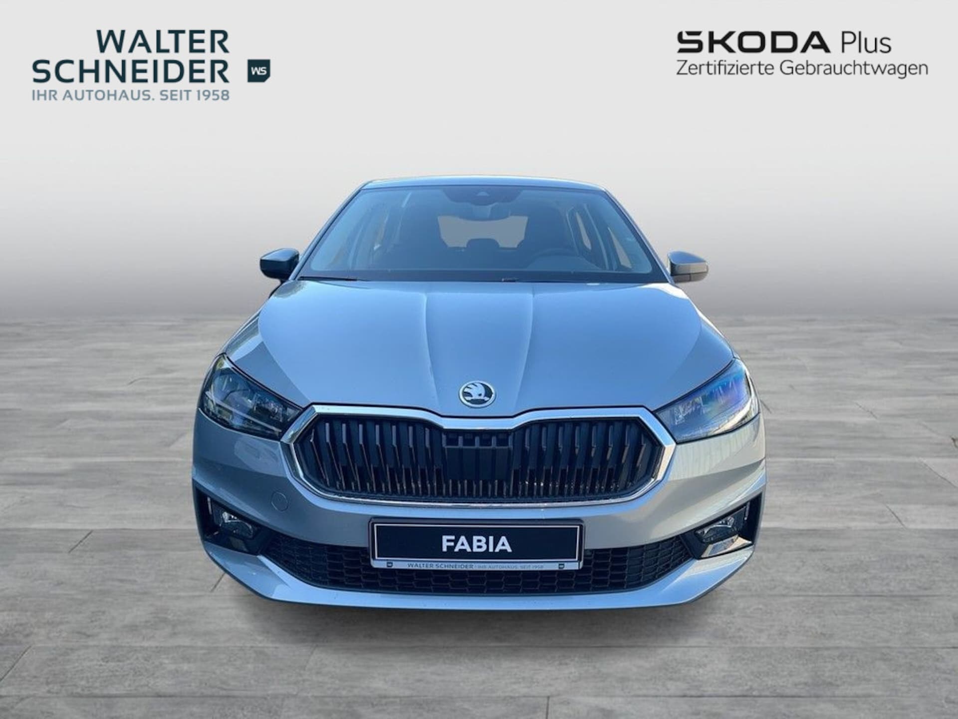Skoda Fabia Selection