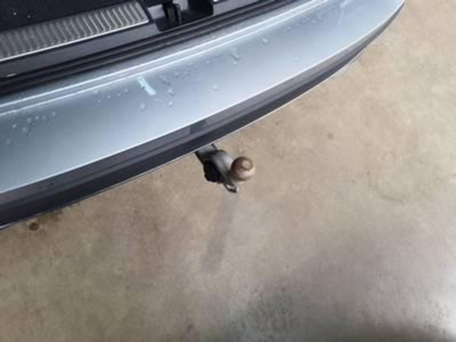 Volkswagen Passat – Bild 10
