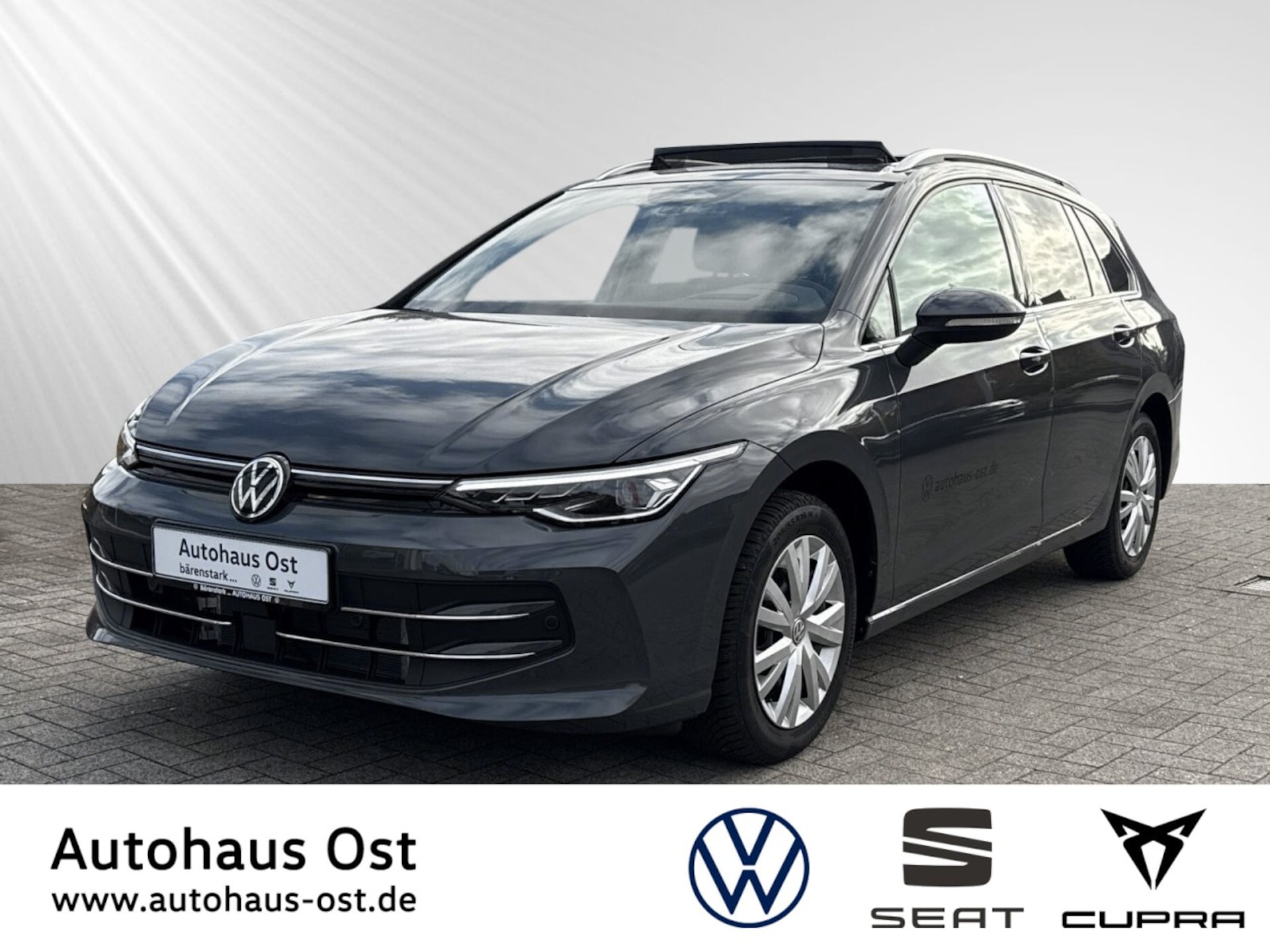 Volkswagen Golf Variant Style