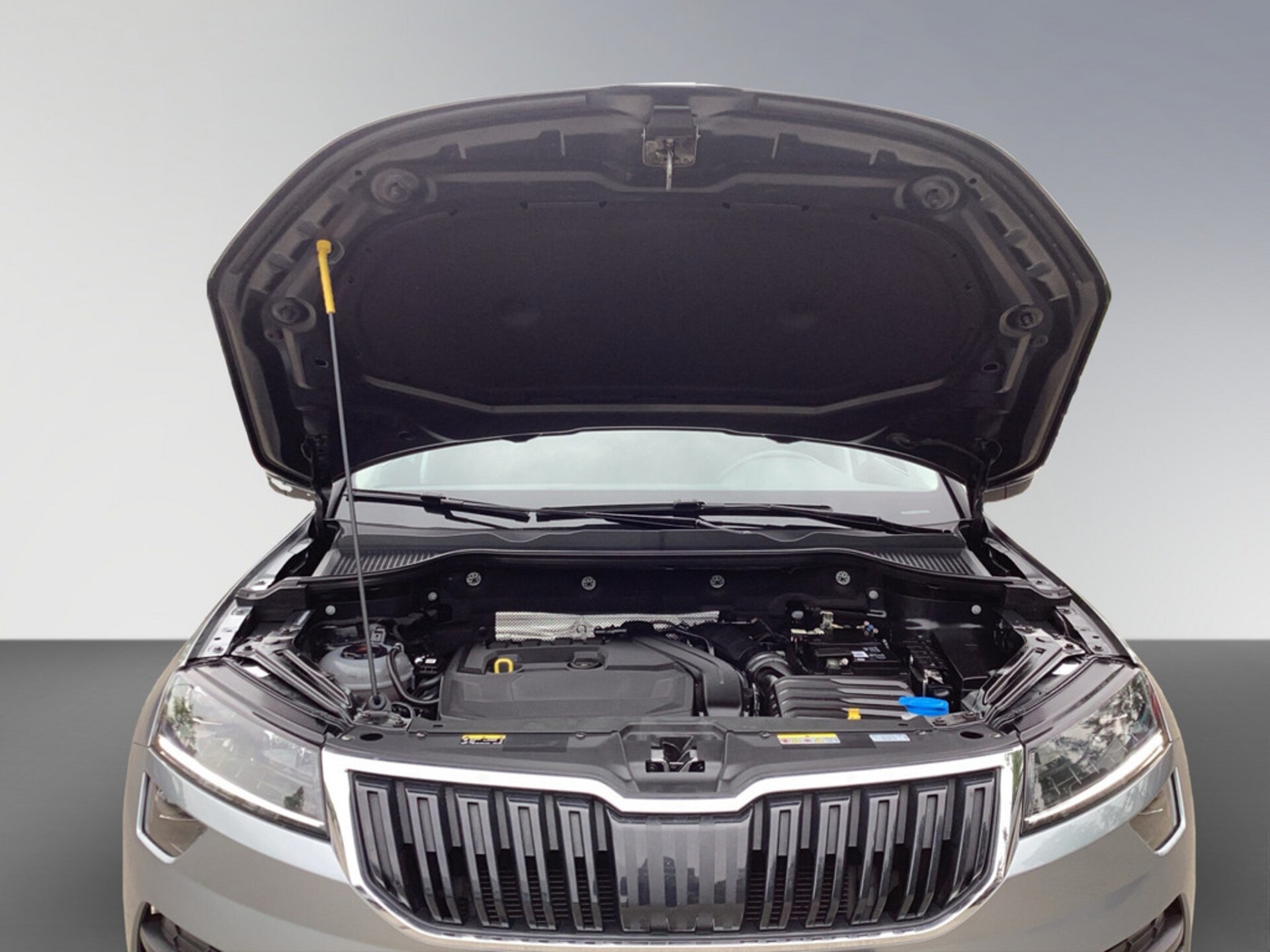 Skoda Karoq Ambition