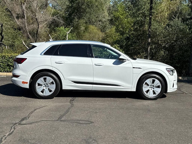 2019 Audi e-tron