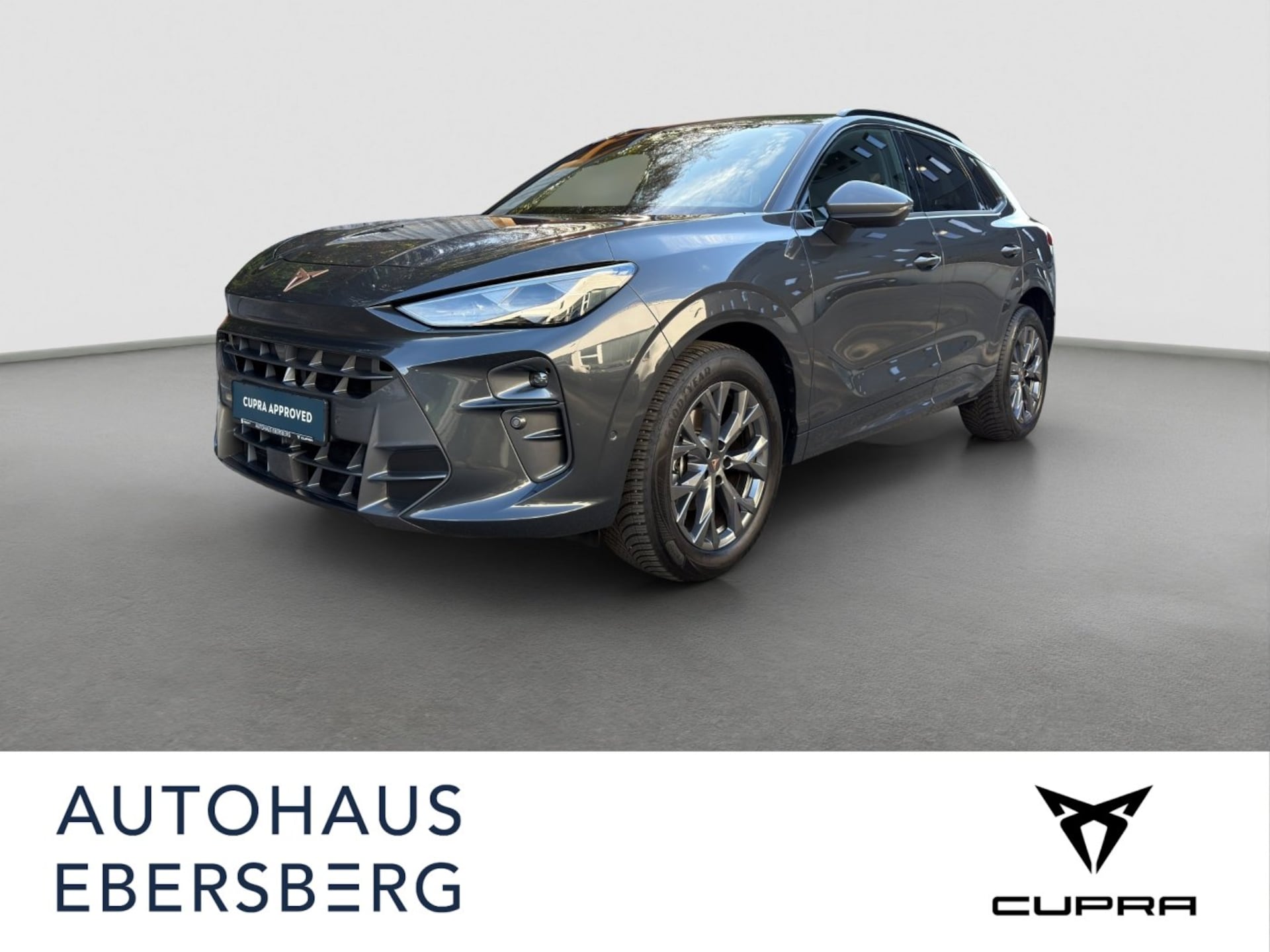 Cupra Terramar — CUPRA Terramar 1.5 TSI 5JGAR Navi MATRIX Memory Sennheiser