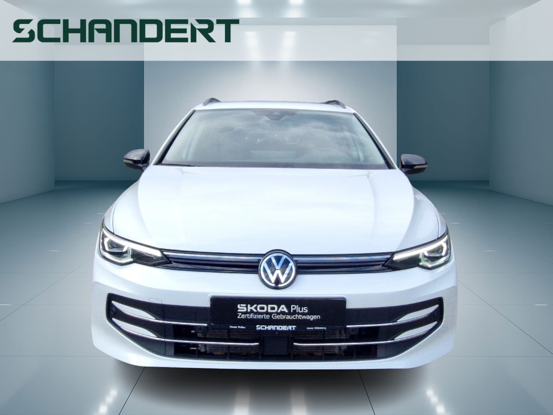 Volkswagen Golf Variant Goal