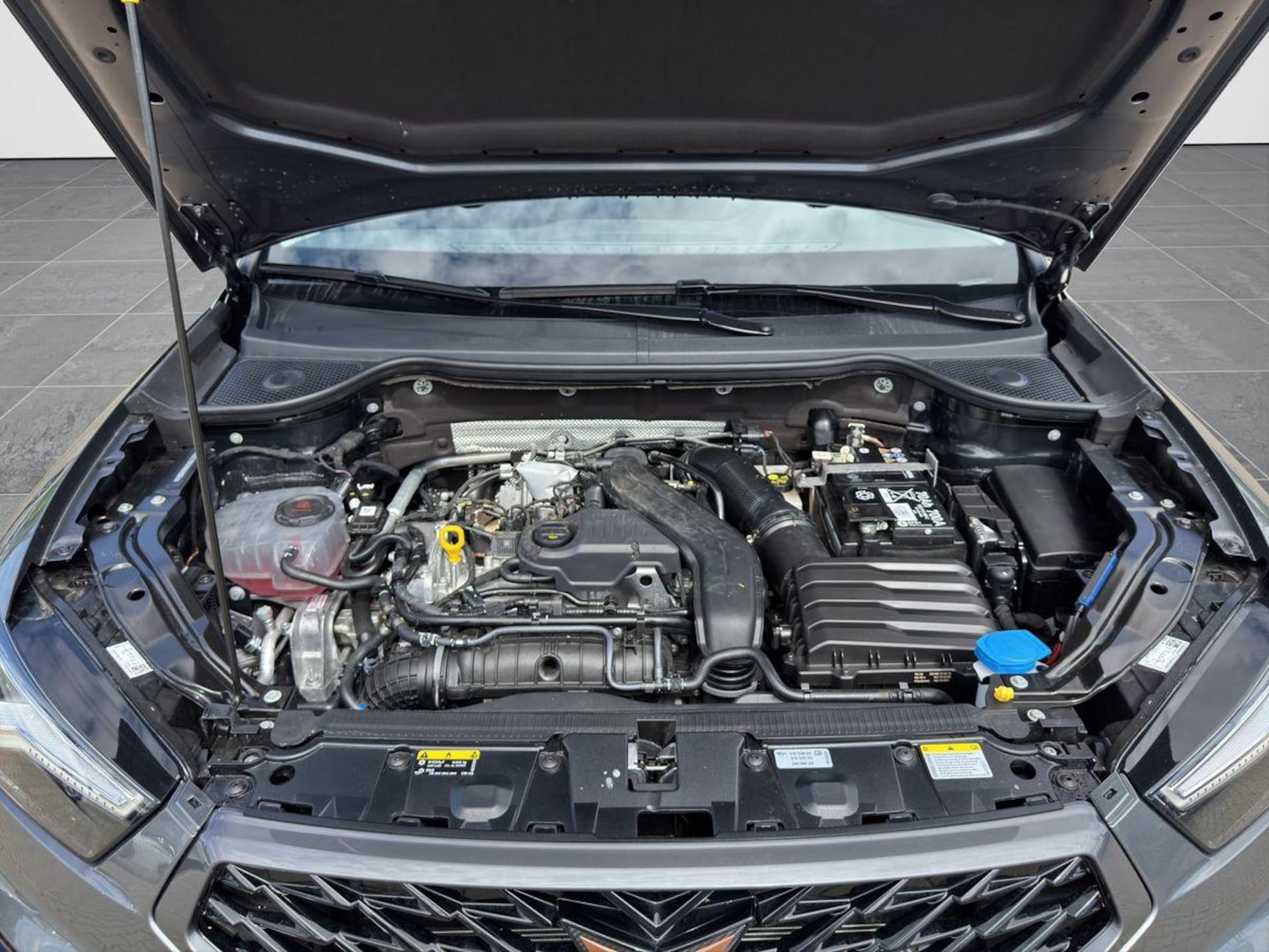 CUPRA Ateca