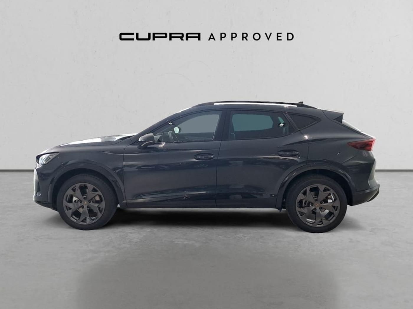 CUPRA Formentor 1.5 eTSI DSG 110 kW (150 CV) — photo 15