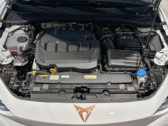 Bild des Autos 14