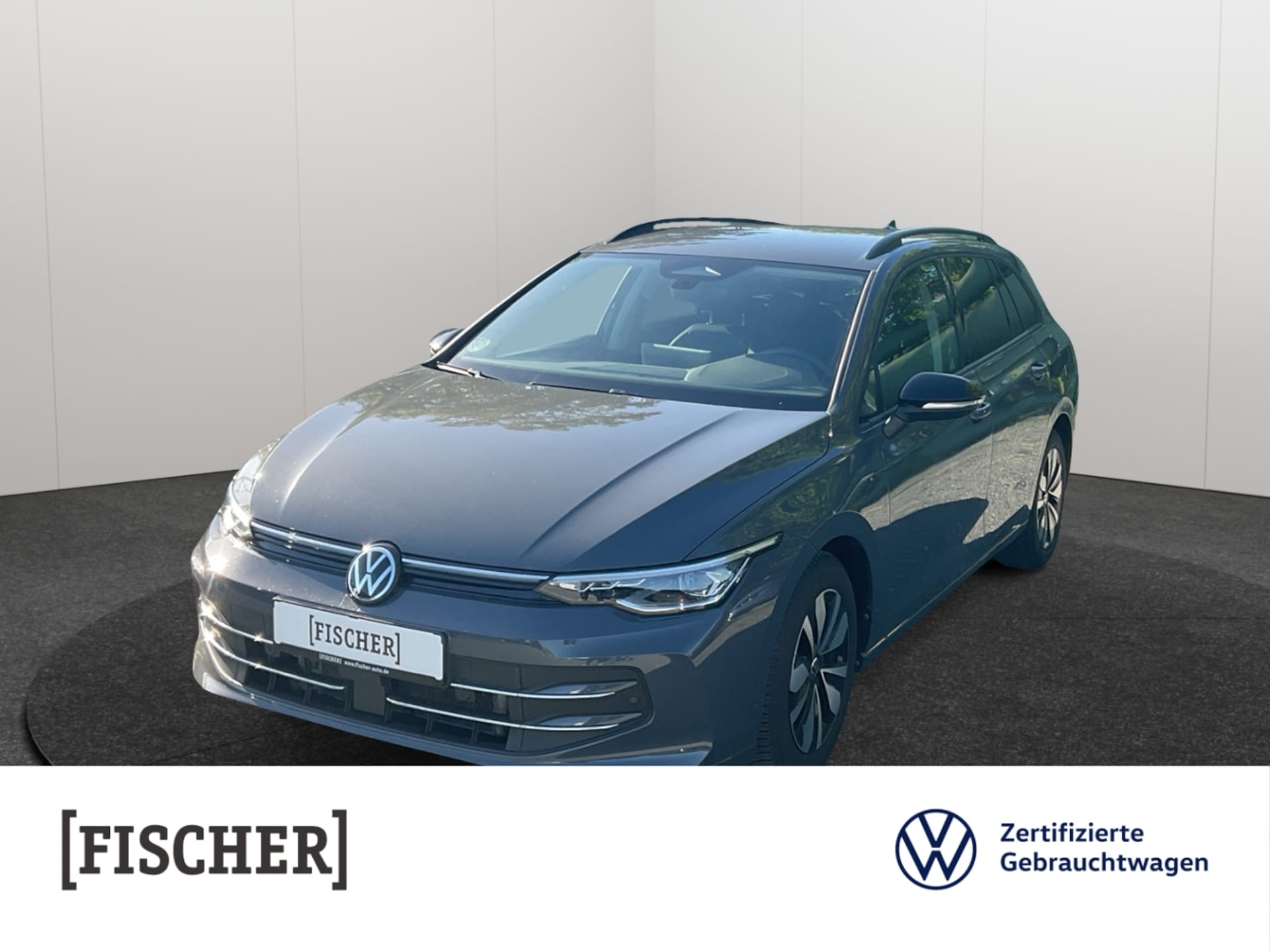 Volkswagen Golf Variant Goal