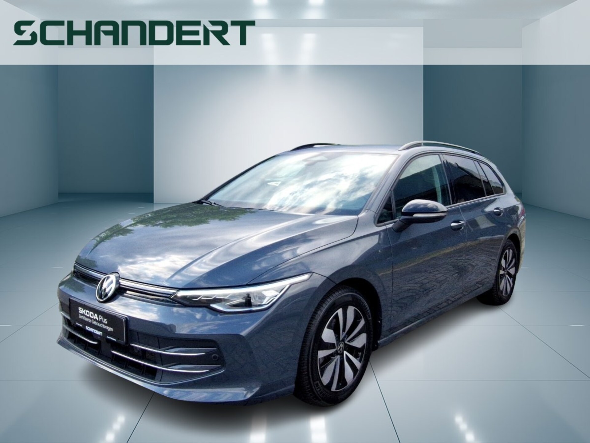 Volkswagen Golf Variant Goal