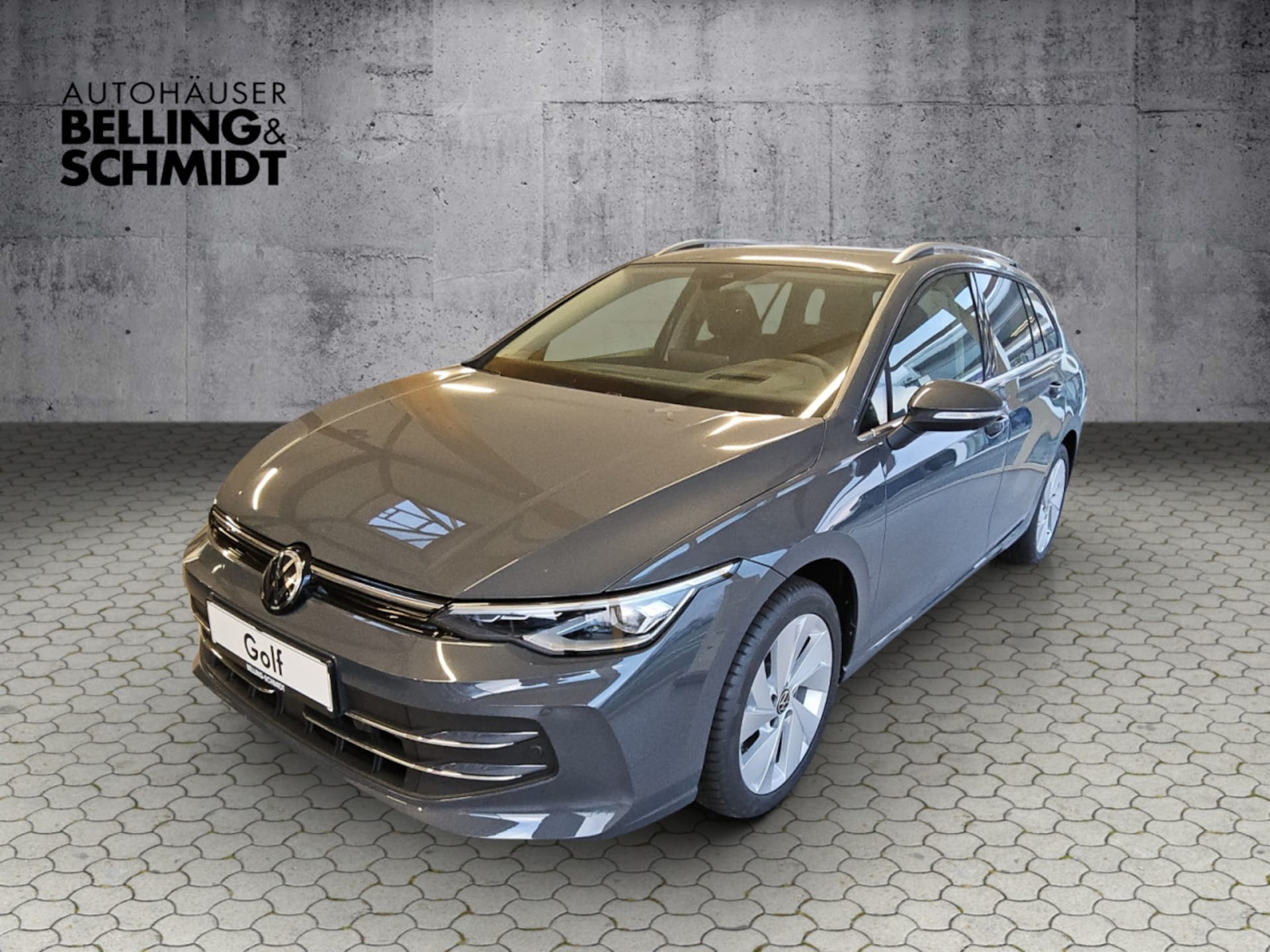 Volkswagen Golf Variant Style