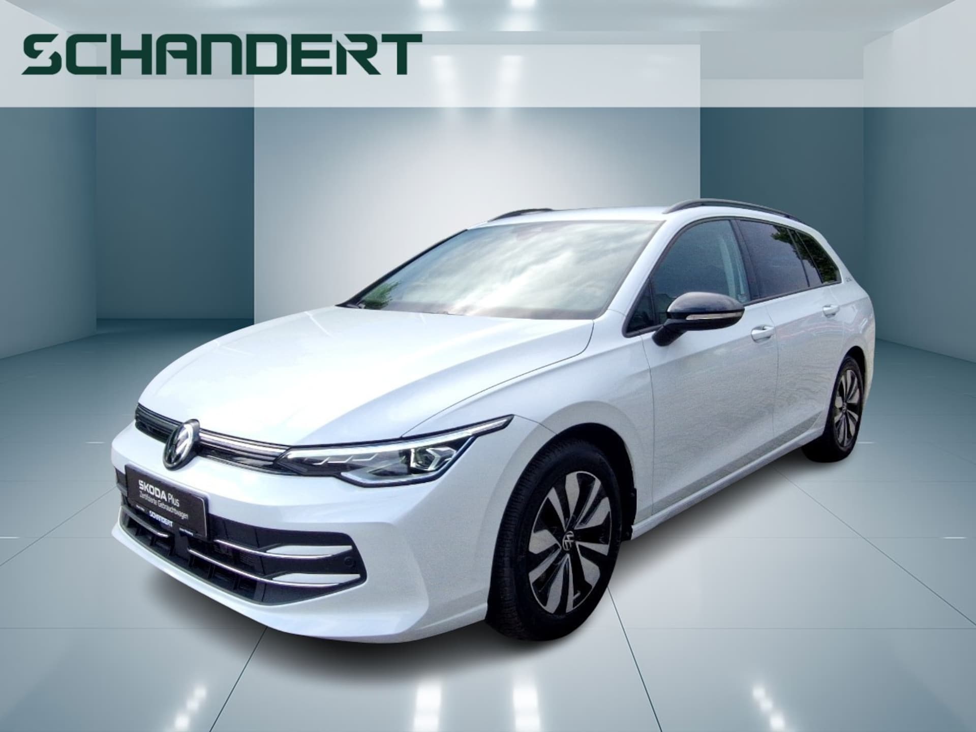Volkswagen Golf Variant Goal