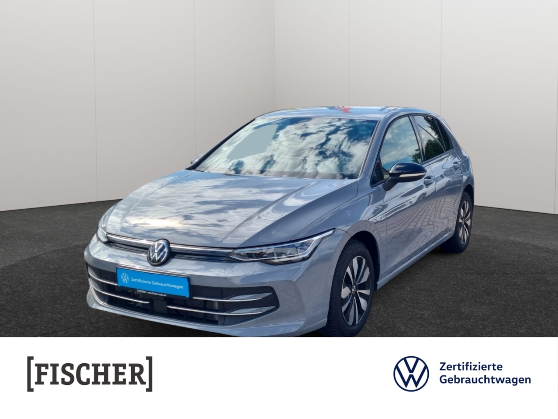 Volkswagen Golf Goal