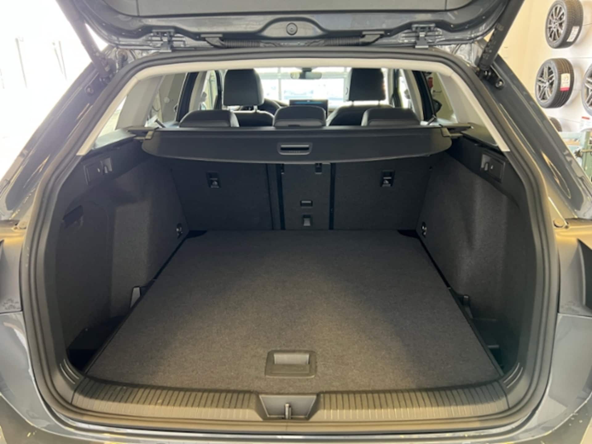 Volkswagen Golf Variant Goal