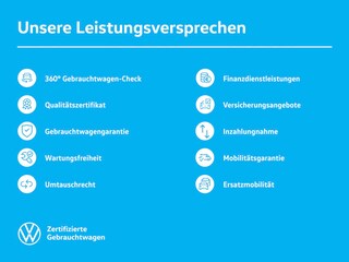 zweites Vorschaubild