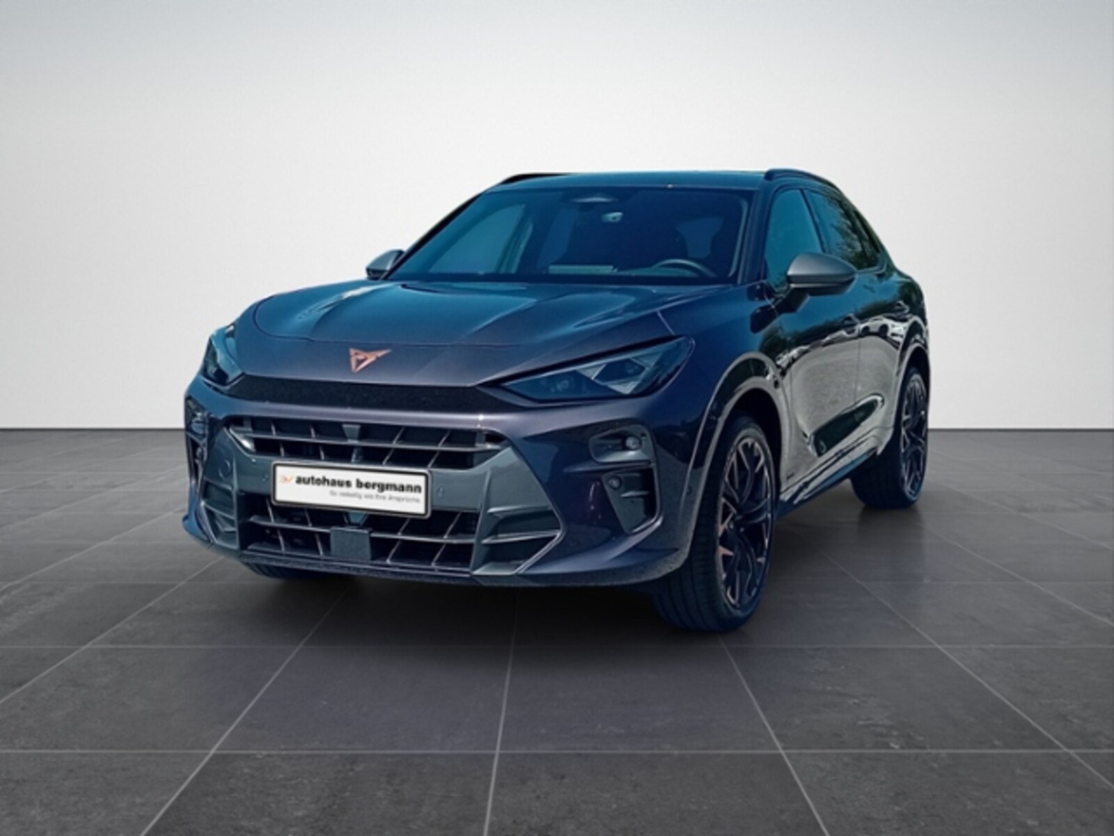 CUPRA Terramar – Bild 2