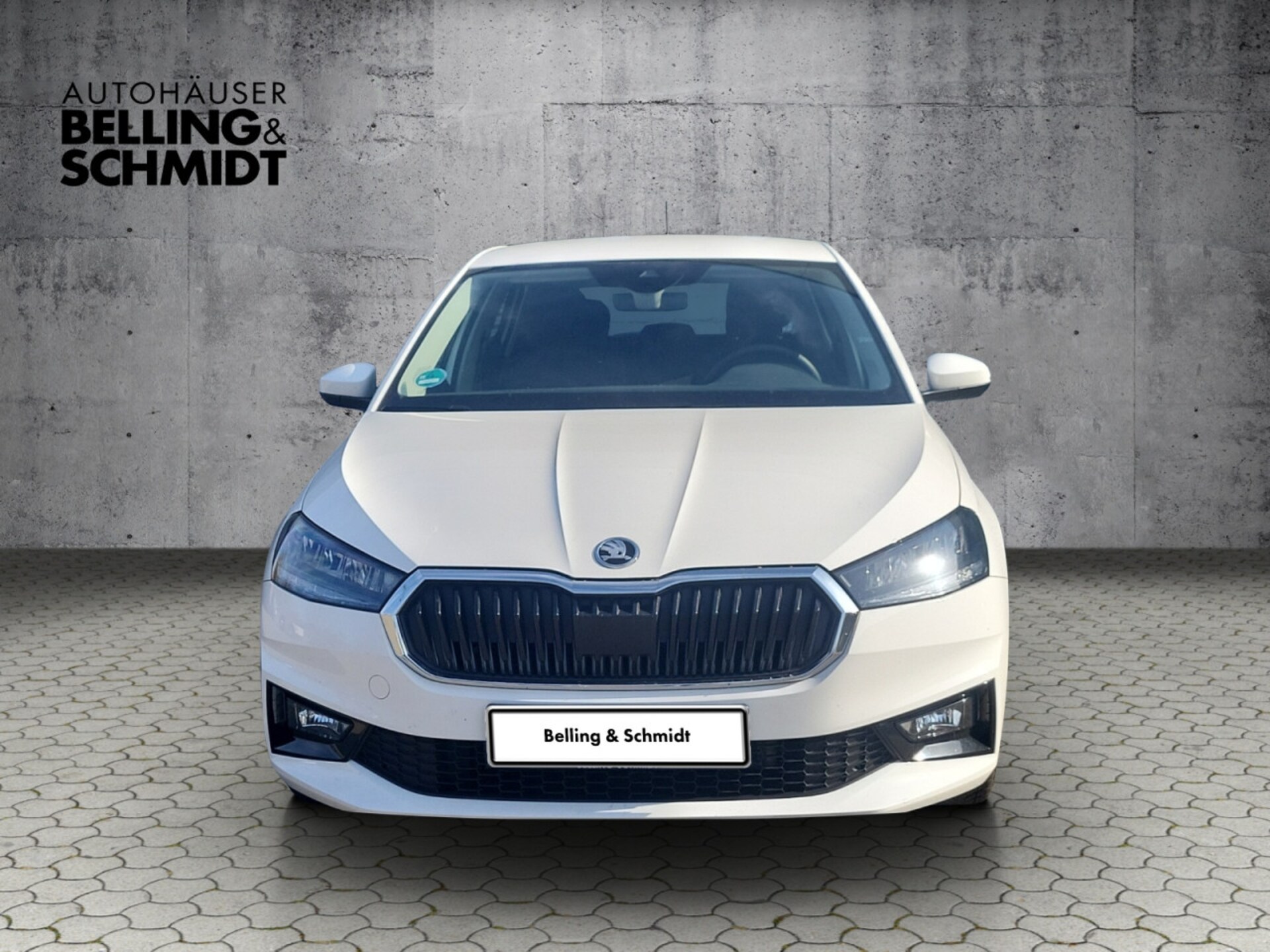 Skoda Fabia Selection