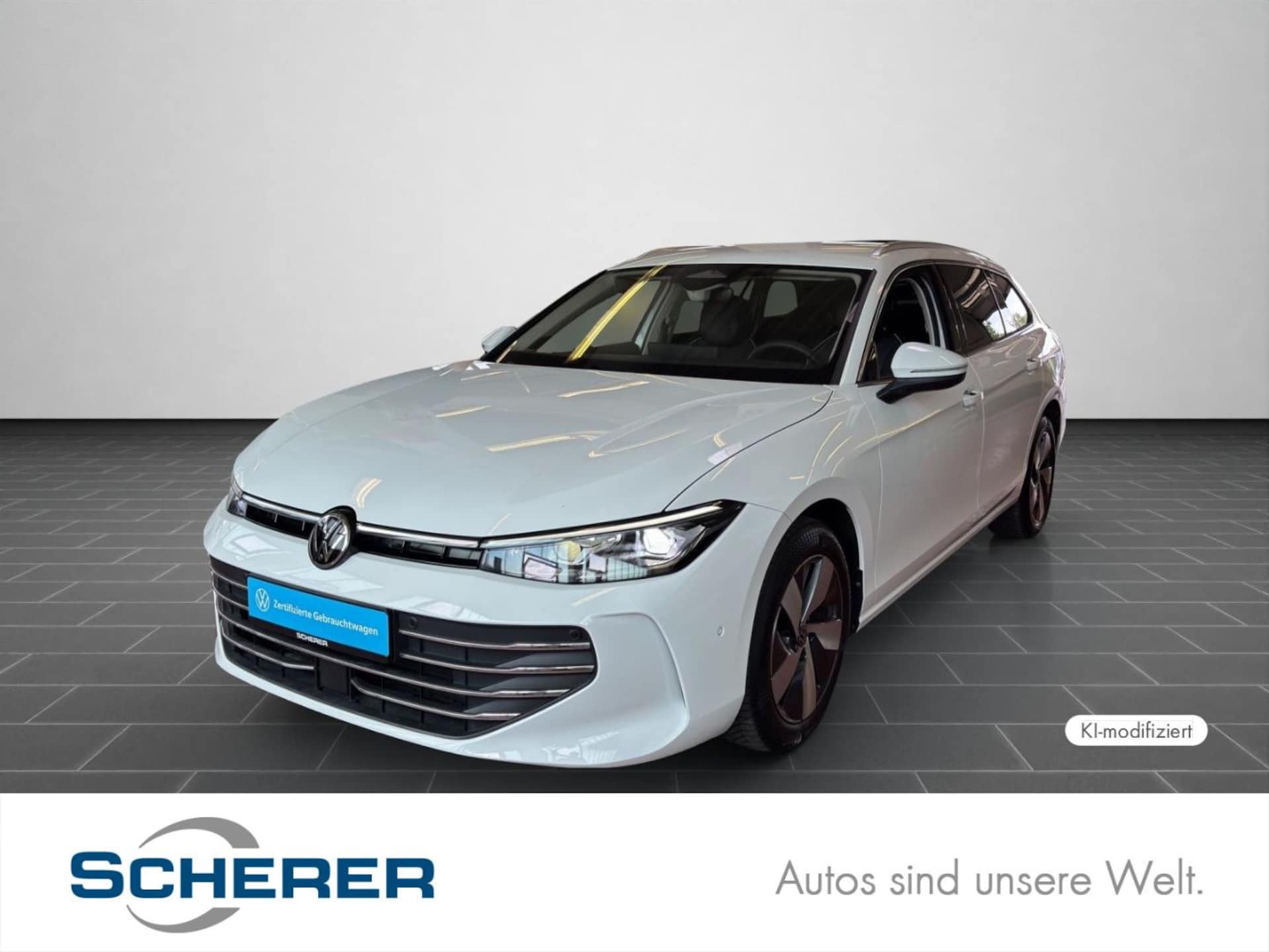 Volkswagen Passat Business