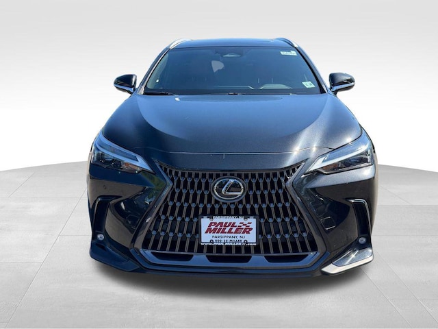 2024 Lexus NX 350