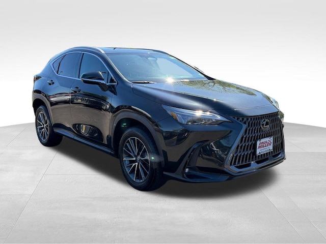 2024 Lexus NX 350