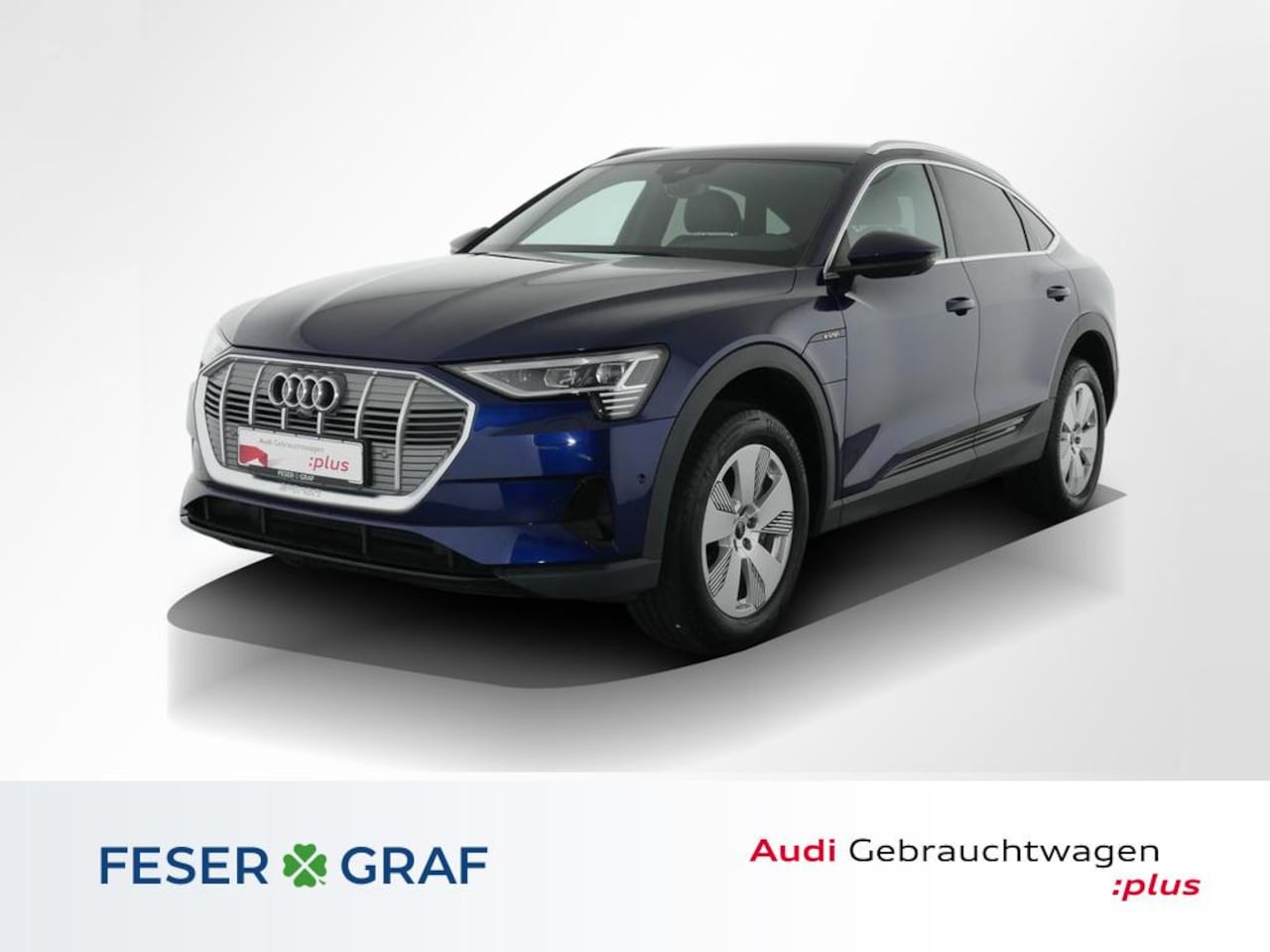 Audi e-tron occasion