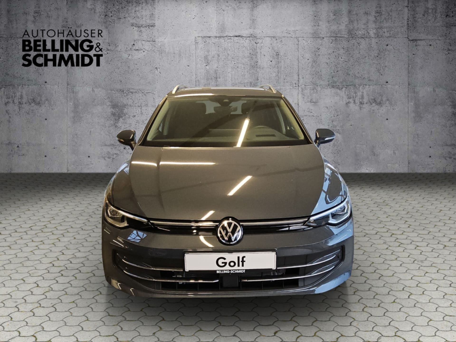 Volkswagen Golf Variant Style