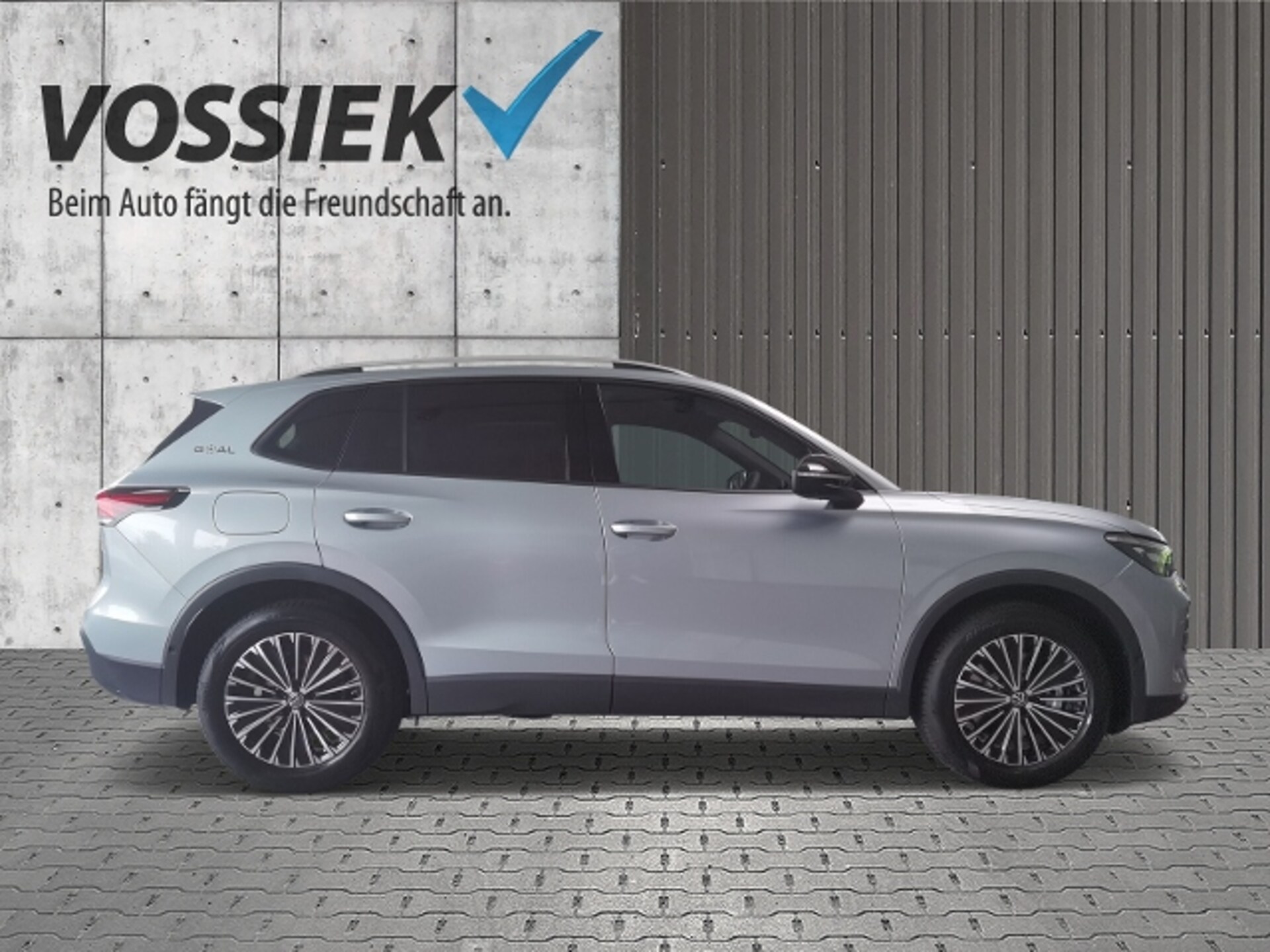 Volkswagen Tiguan Goal
