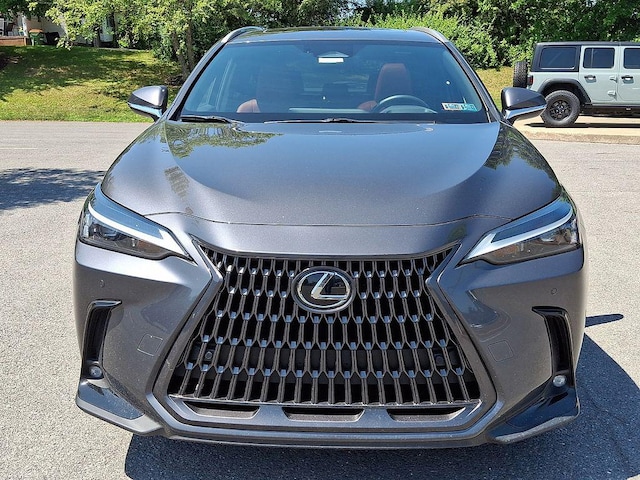 2024 Lexus NX 350h