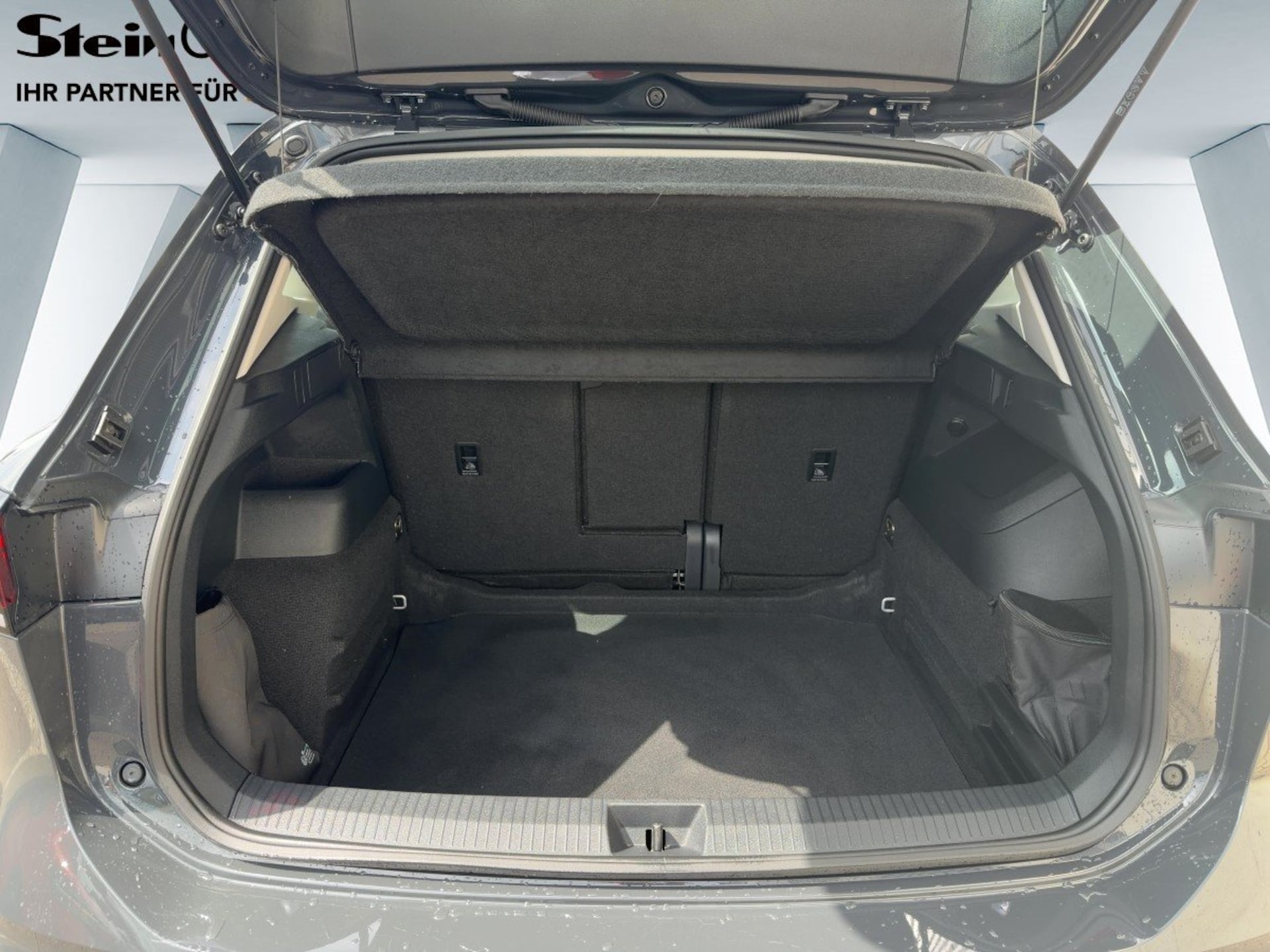 Volkswagen Tiguan Basis-Modell