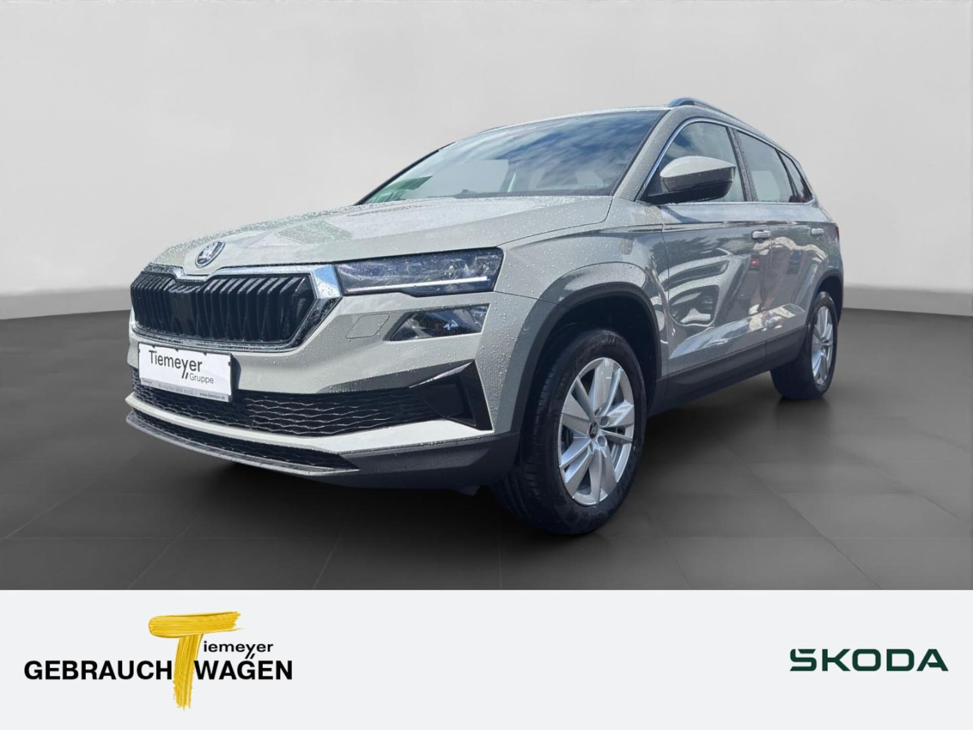 Skoda Karoq Selection