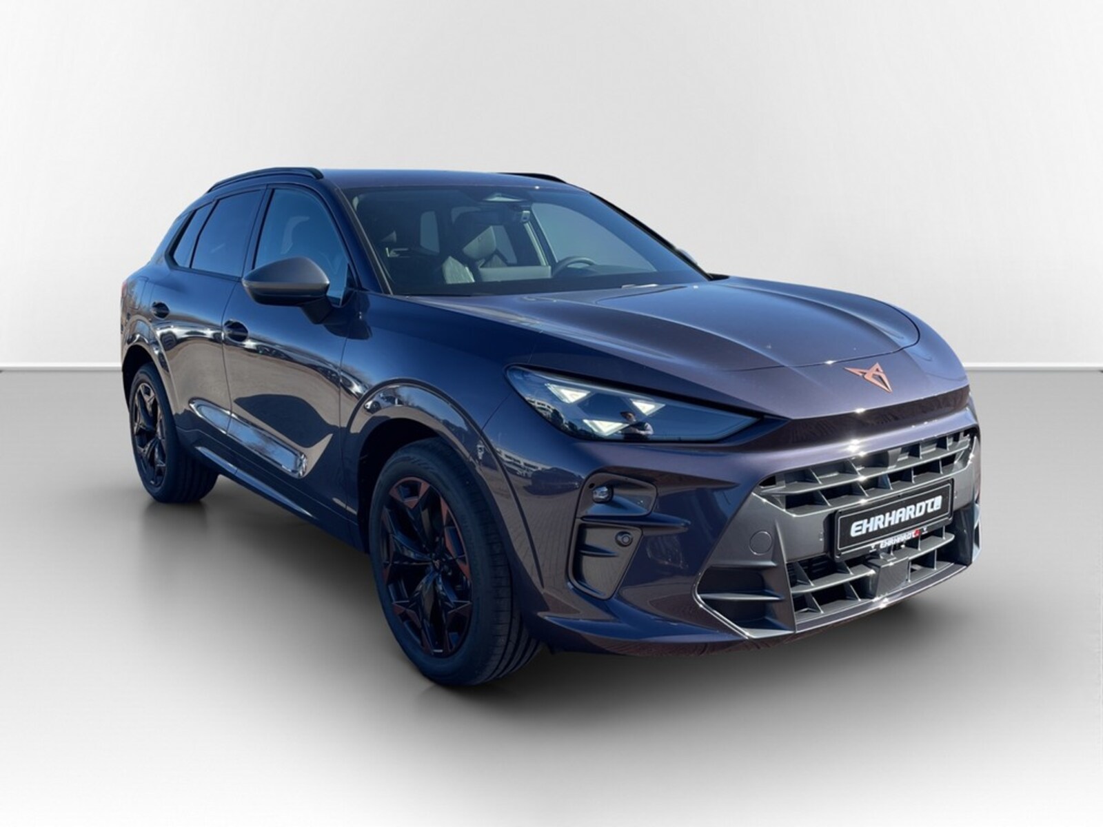 CUPRA Terramar – Bild 3