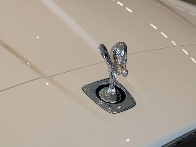 2025 Rolls-Royce Cullinan Base - Photo 29