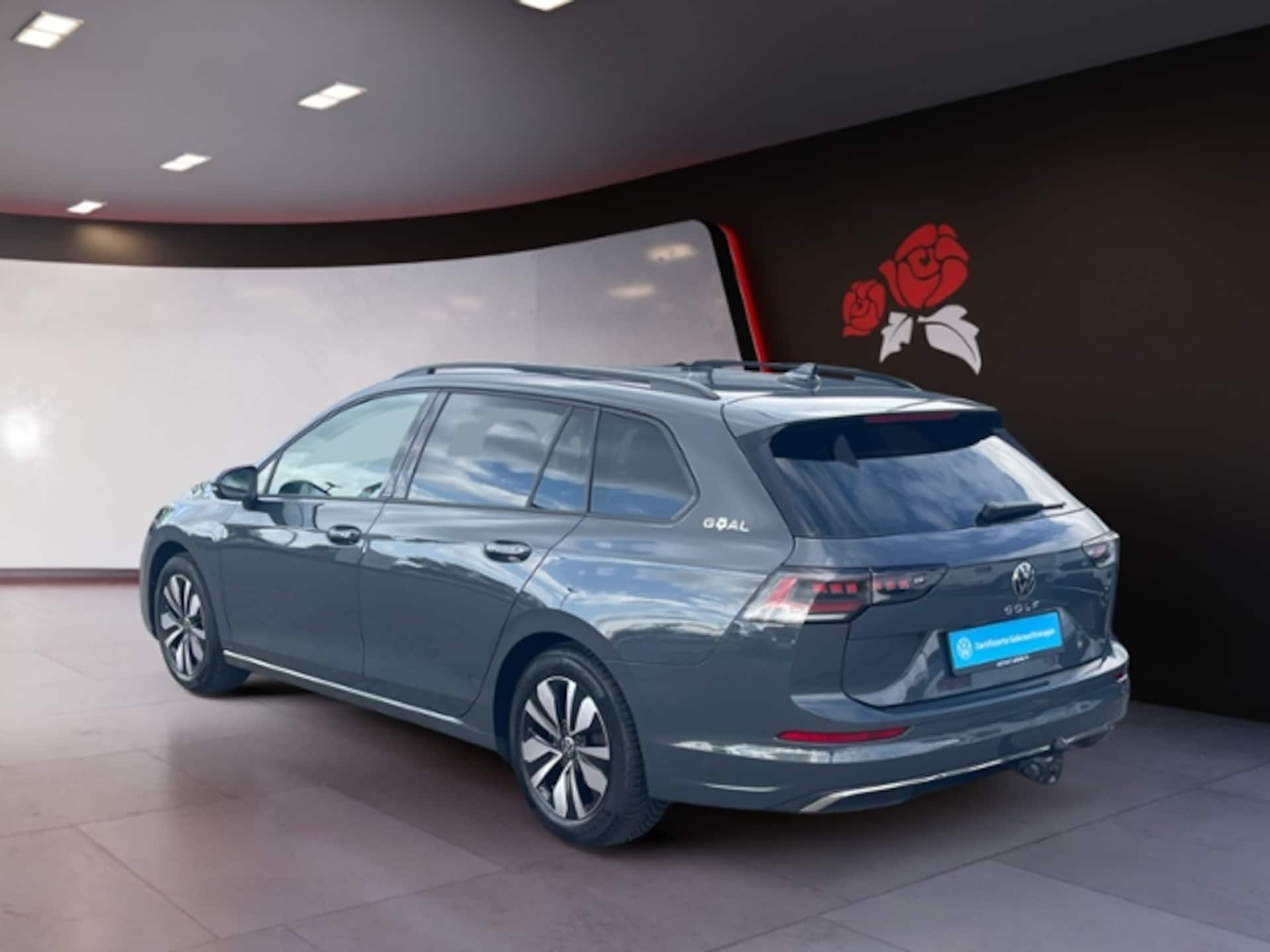 Volkswagen Golf Variant Goal