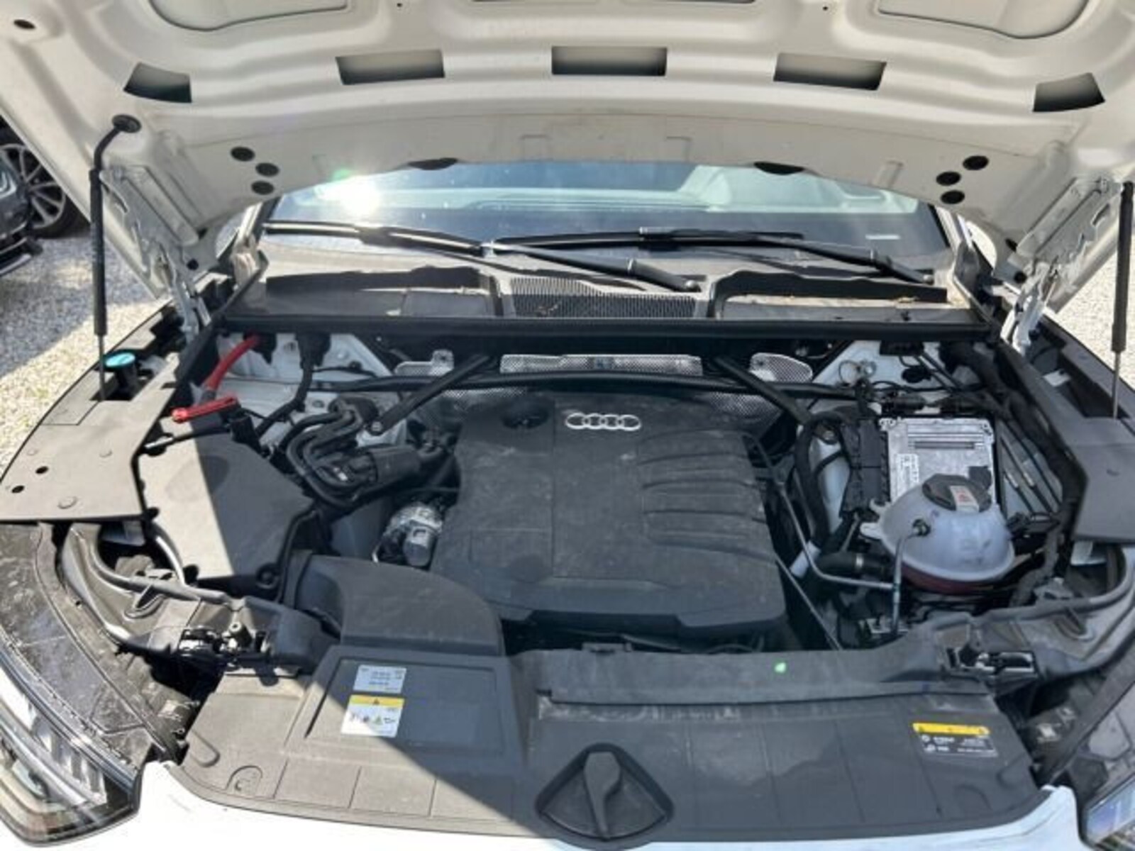 Audi Q5 – Bild 19