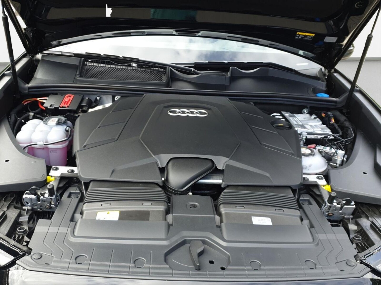 Audi Q8 – Bild 17