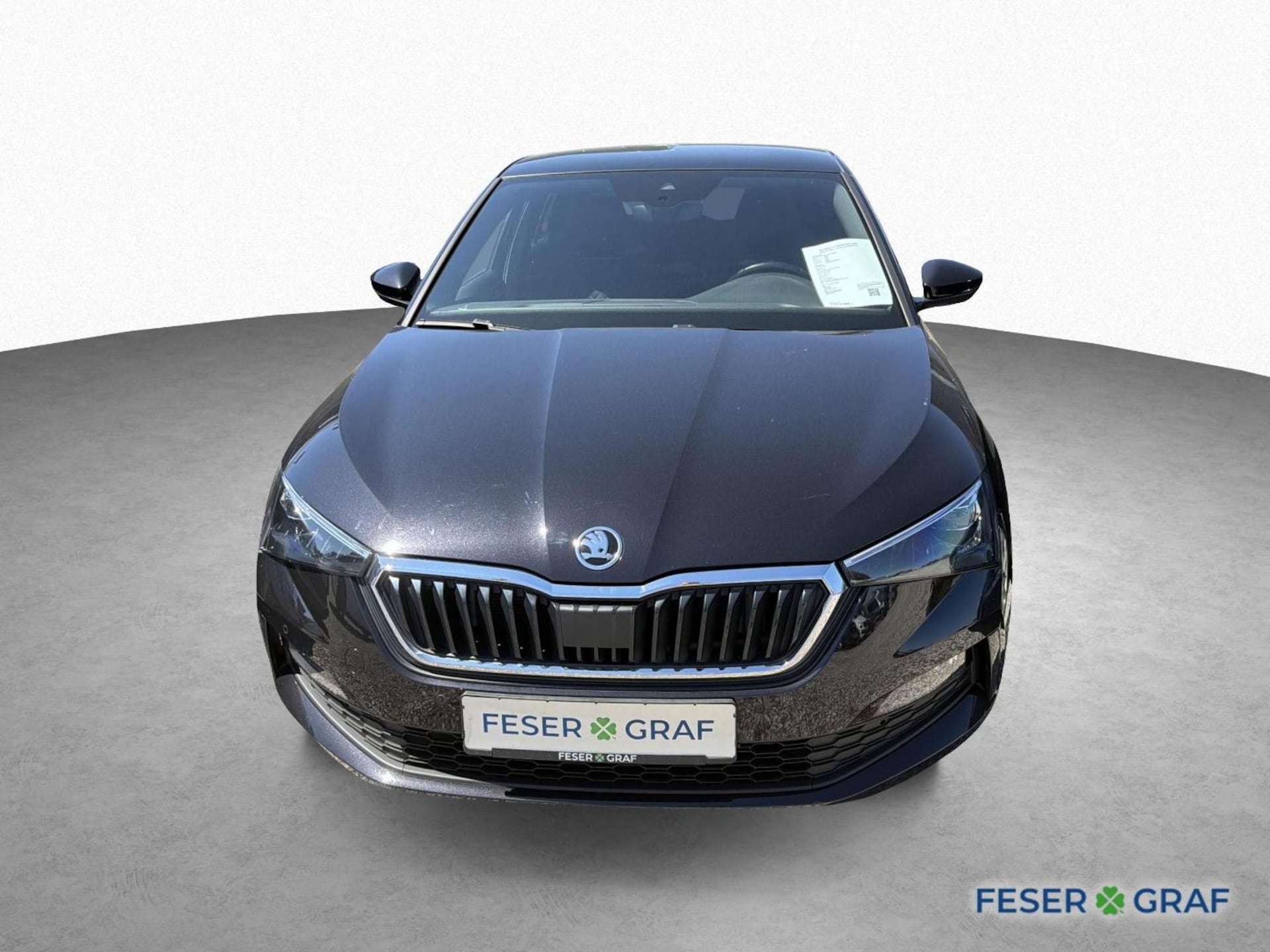 Skoda Scala Style