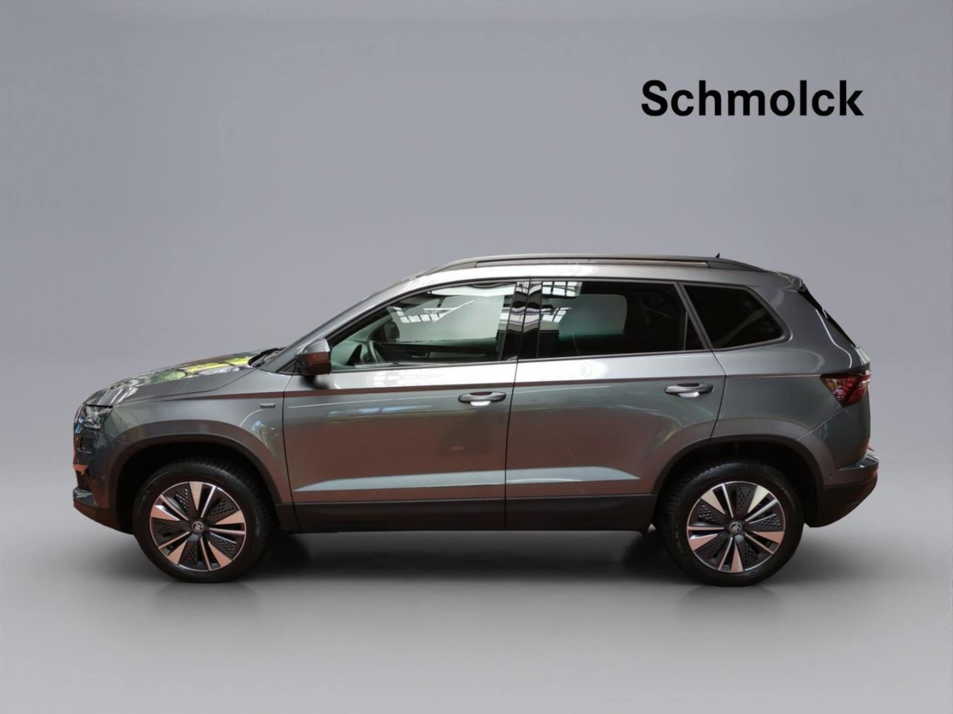 Skoda Karoq Selection