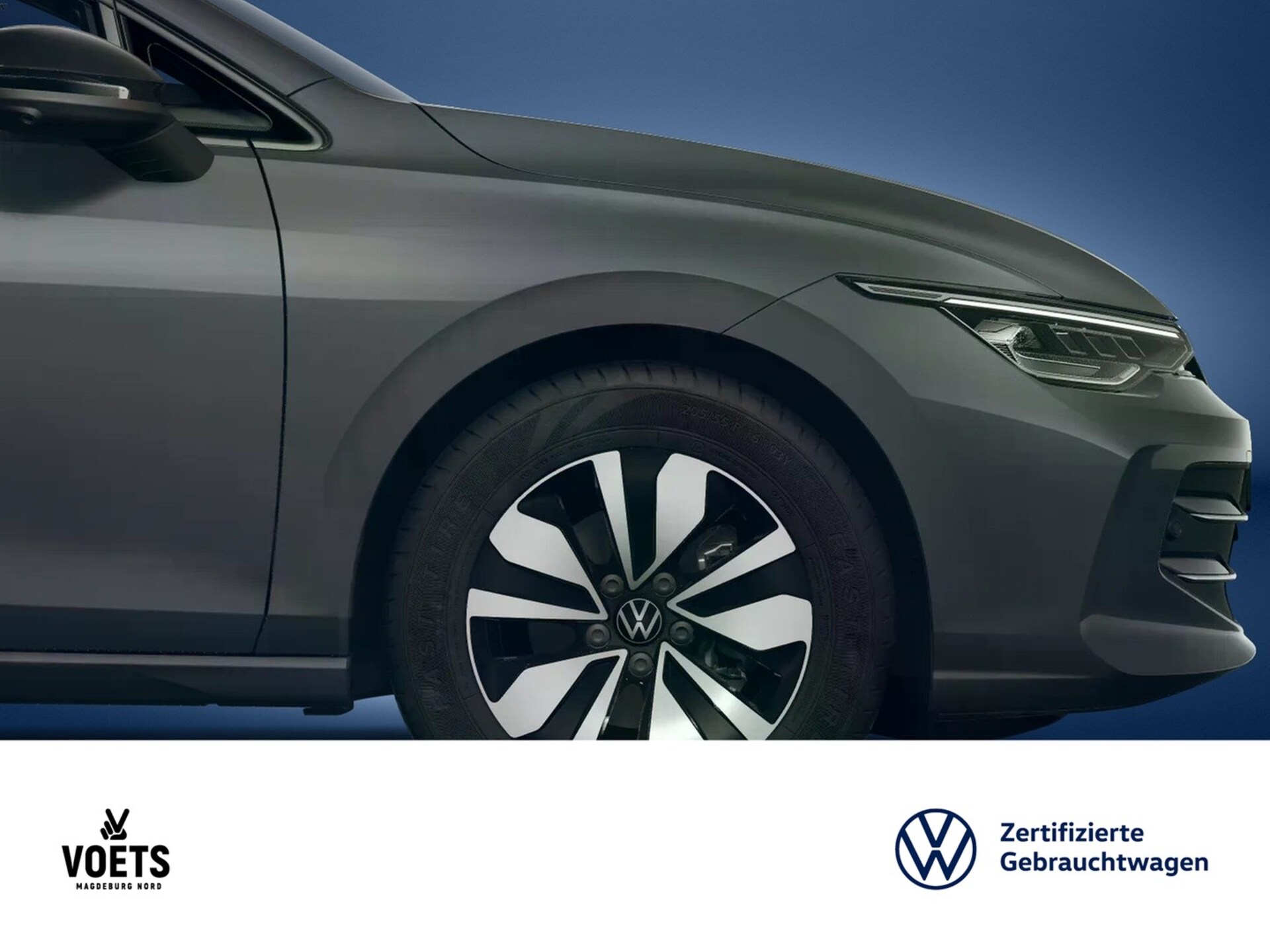 Volkswagen Golf Variant Goal